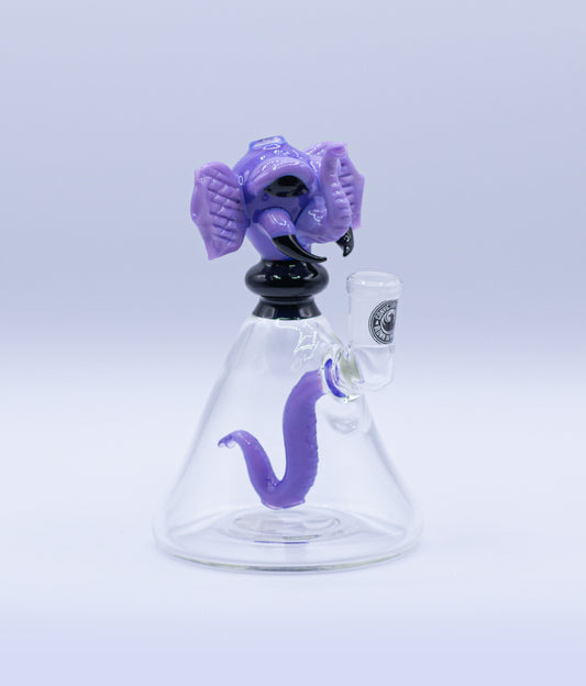 Conviction Glass Elephant Rig